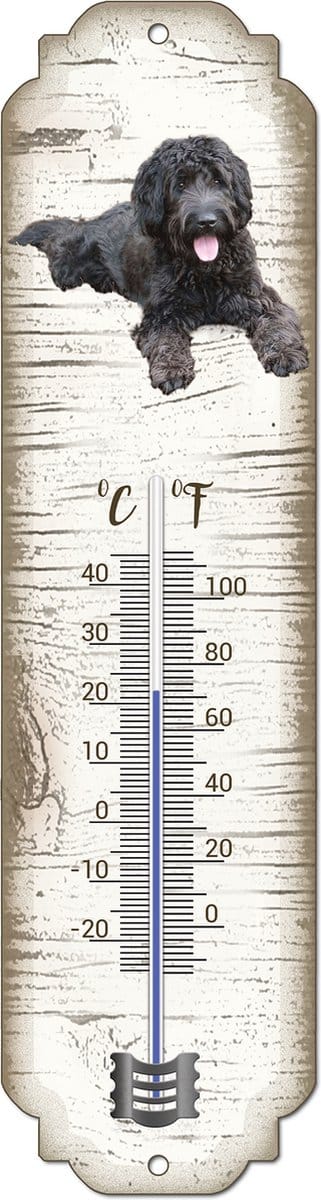 Thermometer: Labradoodle | Hondenras | Temperatuur binnen en buiten | -25 tot +45C