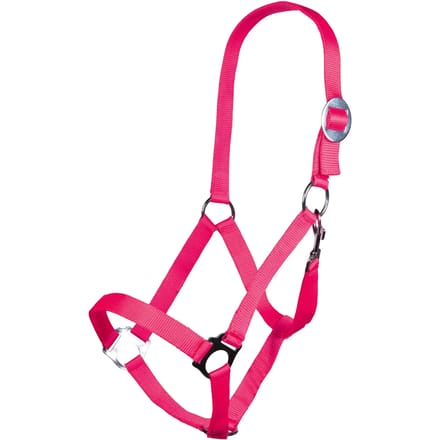 Halster voor paarden HKM Stars Economy