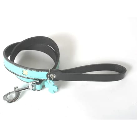 Leren hondenriem Martin Sellier Bowxy