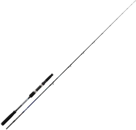 Kali Kunnan Brava Xtr Lichte Jigginghengel Zilver 2.08 m / 90-210 g