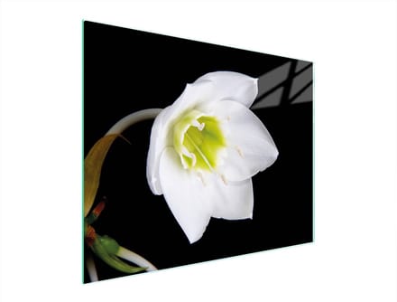 TMK ArtDeko - Snijplank - 52x40 cm - Glas - Orchidee Motief