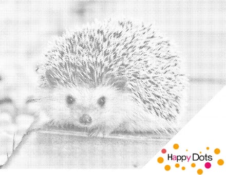 HappyDots DOT Painting Egel 30x40cm - Stippelschilderij