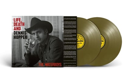 The Waterboys - Life Death & Dennis Hopper (2 LP) (Coloured Vinyl)