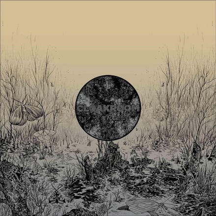 Cloakroom - Infinity (LP)