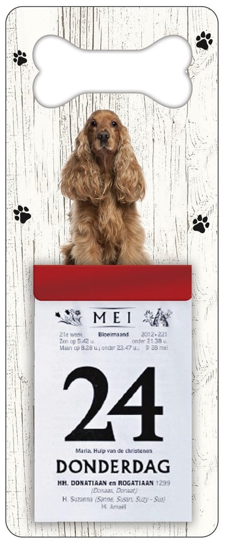 Scheurkalender 2027 Hond: Engelse Cocker