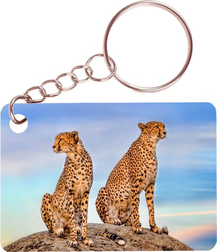 Sleutelhanger 6x4cm - 2 Cheethas op Rots