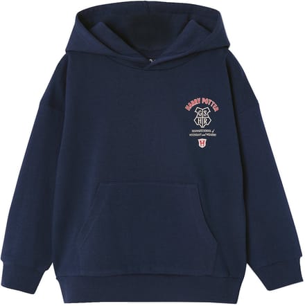 Vertbaudet Sweater met capuchon jongen HARRY POTTER