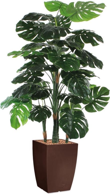 HTT - Kunstplant Monstera in Genesis vierkant bruin H160 cm