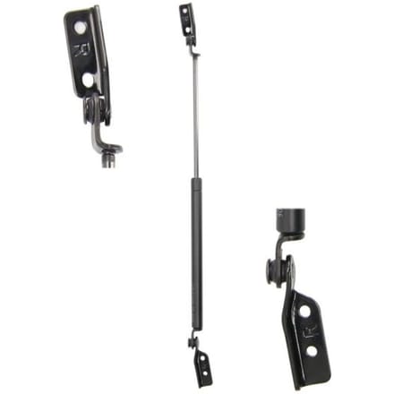 Gasveer, kofferruimte LESJÖFORS 8162024