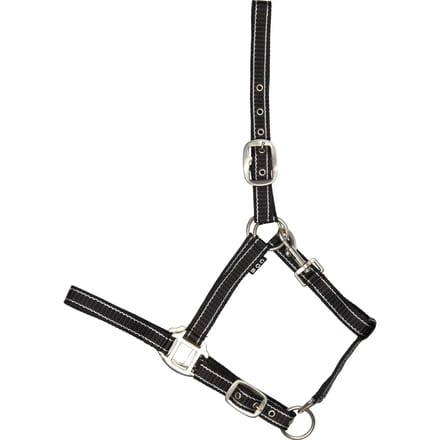 Halsband voor paard HorseGuard Rio