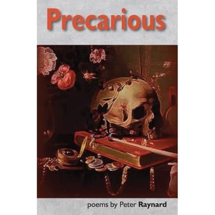 Precarious - Peter Raynard