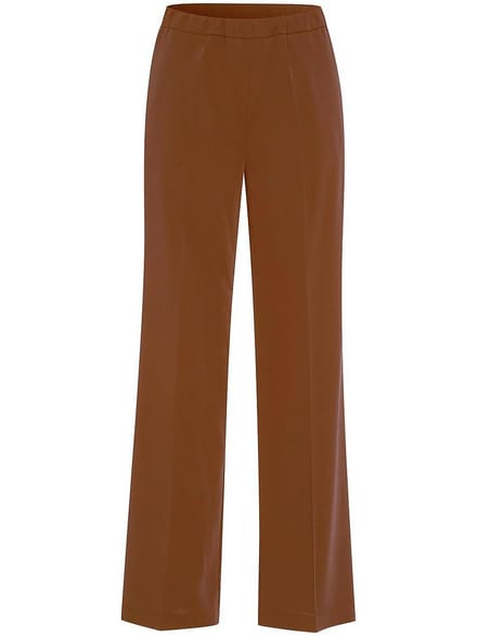 Broek Van Peter Hahn bruin