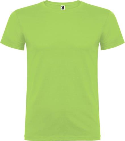 Oasis Groen 5 pack t-shirts Roly Beagle maat S