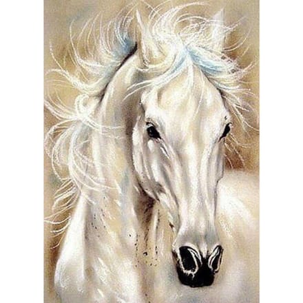 5D DIY  dier paard  diamant strass borduurwerk strass kruissteek decor 30X40CM