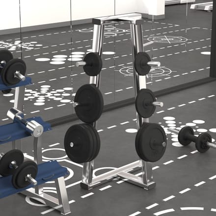 vidaXL - Halterschijf - 40 - kg - gietijzer
