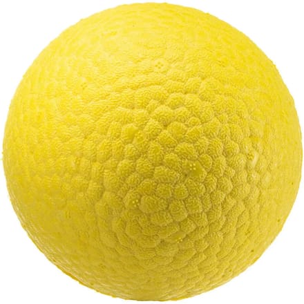 Hondenbal Ferplast Chewa Boing