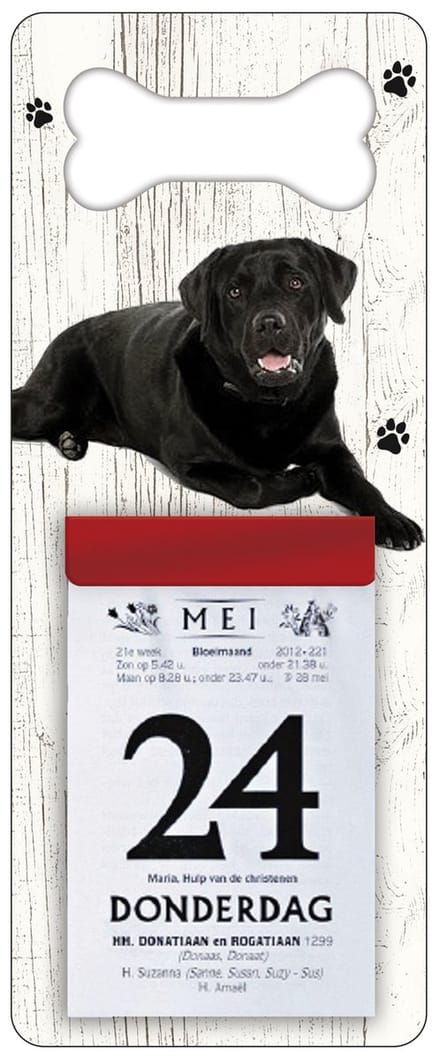 Scheurkalender 2027 Hond: Labrador zwart