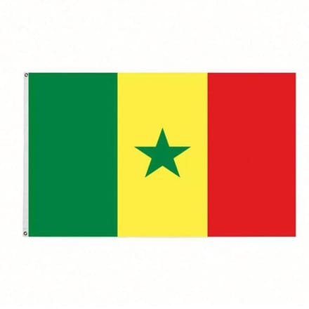Go Go Gadget - Senegalese Vlag - 90x150cm - Senegal