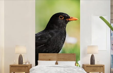 Behang - Fotobehang Vogel - Merel - Bloemen - Breedte 120 cm x hoogte 240 cm