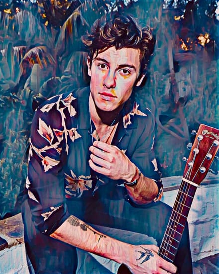 Shawn Mendes 3 - Canvas - 70 x 100 cm