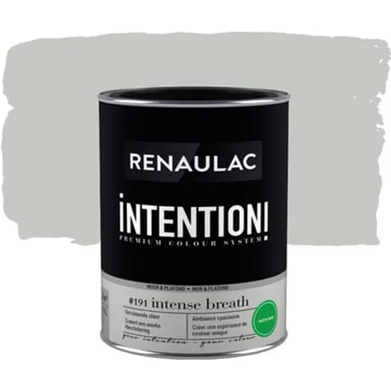 Renaulac Intention Muurverf - Extra Mat - Intense Breath - 1l