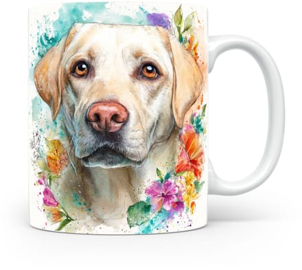 Beker Labrador retriever