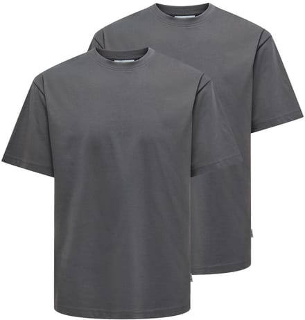 Only & Sons Heren t-shirt 2 pack Onsfred