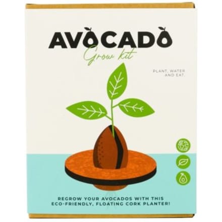 Kurken ontkiemset voor avocado's van Gift Republic