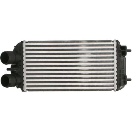 Intercooler, inlaatluchtkoeler THERMOTEC DAF012TT