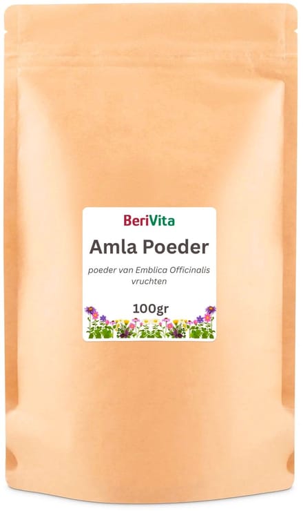 Amla Poeder 100gr - Puur Gooseberry Powder