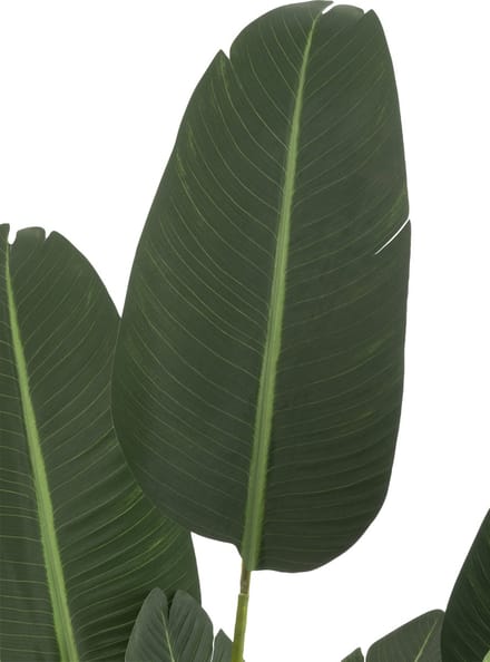J-Line plant Strelitzia - kunststof - groen - medium