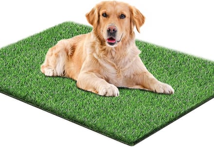 Hondentoilet kunstgras - Zindelijkheidstraining hond - Geurafstotend - Hondentrainer