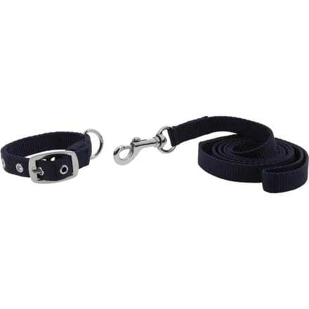 Halsband en lijn voor hond Riding World Oscar