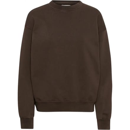 Sweatshirt ronde hals Colorful Standard Organic oversized coffee brown