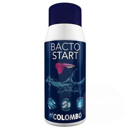 Colombo Bacto start 100ml