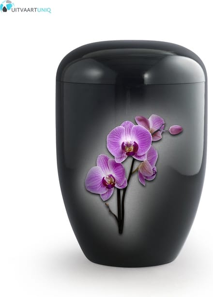 Eco urn zwart orchidee - bio (biologisch afbreekbaar)