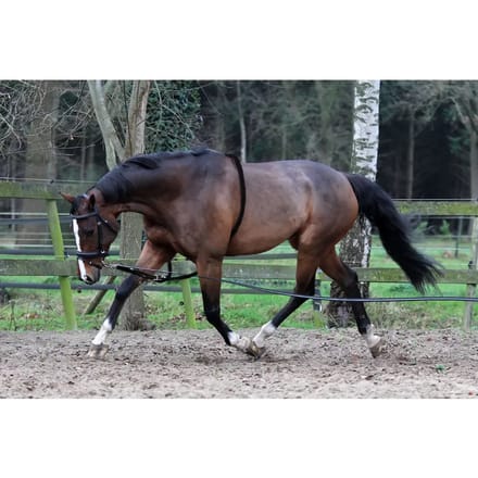 longeerhulp met ring leer/katoen zwart maat pony