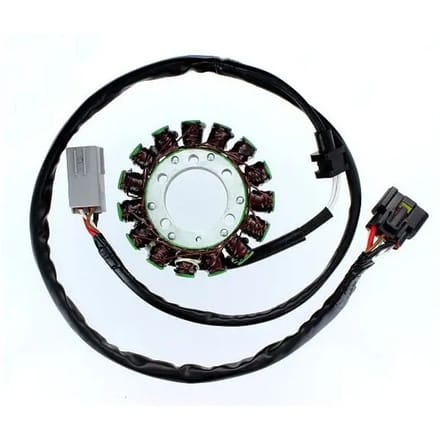 Originele aanpasbare motor dynamo Electrosport Kawasaki