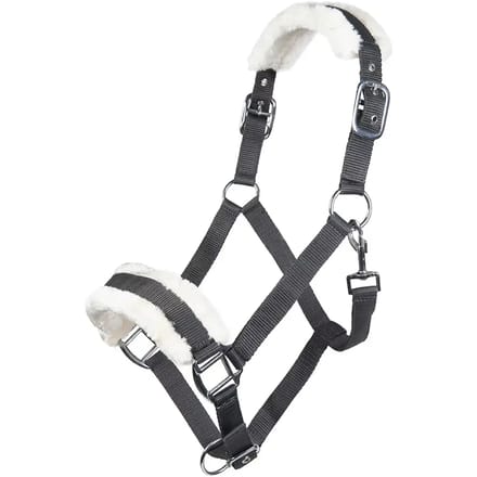 Bont halster voor paard HKM Bischofshofen