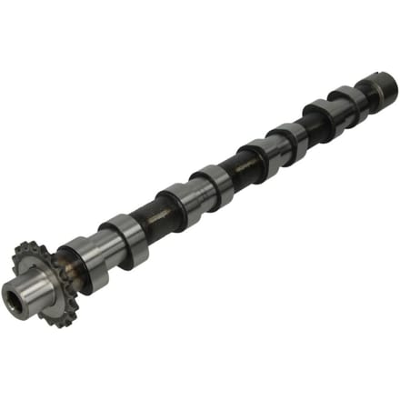 Nokkenas  AE CAM748