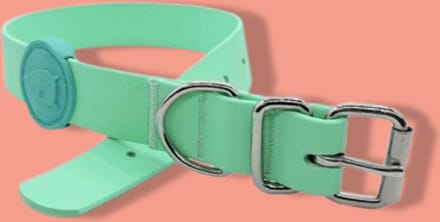 Morso - Halsband Hond Waterproof Gerecycled Carribean Green Groen