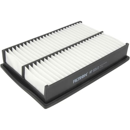 Luchtfilter FILTRON AP113/2
