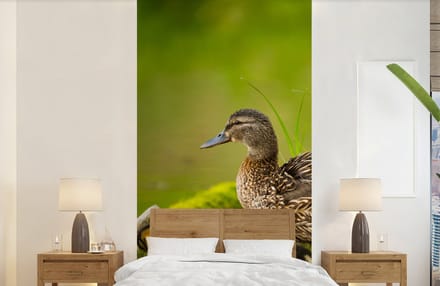 Behang - Fotobehang Eend - Vogels - Water - Tak - Mos - Breedte 120 cm x hoogte 240 cm