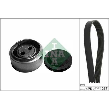 Schaeffler Ina Poly V-riem set INA 529 0087 10