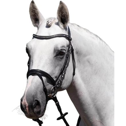 Riem voor paardrijden Premier Equine Rivere