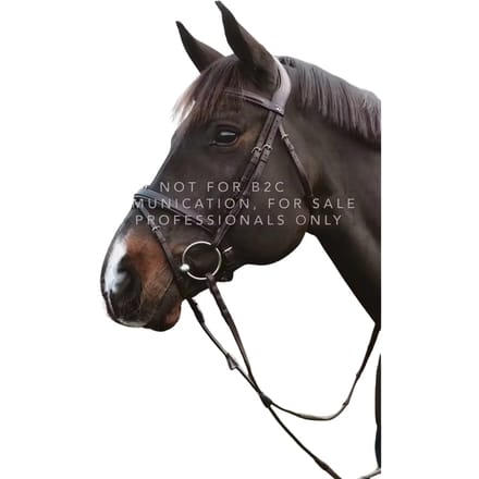 Combiné neusriem voor paard met kettingen Dy'on