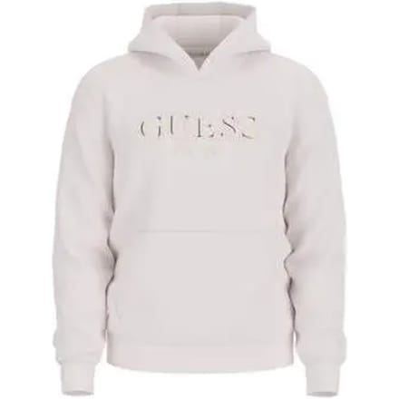 Guess Basic Hoodie Grijs S Man