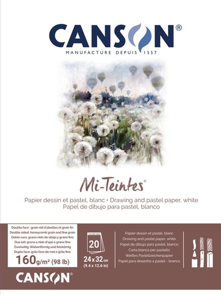 CANSON tekenpapier Mi-Teintes, in blok, 240 x 320 mm, wit 335