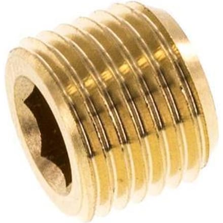 M10x1 Messing Plug met Binnenzeskant zonder kraag 16 Bar [10 Stuks]