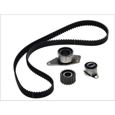Distributieriemset SKF VKMA 06125